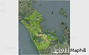 Satellite 3D Map of Auckland, semi-desaturated