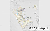 Shaded Relief 3D Map of Auckland, lighten, desaturated
