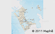 Shaded Relief 3D Map of Auckland, single color outside