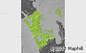 Physical Map of Auckland, darken, desaturated