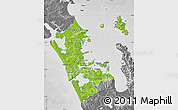 Physical Map of Auckland, desaturated