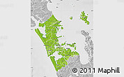 Physical Map of Auckland, lighten, desaturated