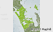 Physical Map of Auckland, semi-desaturated