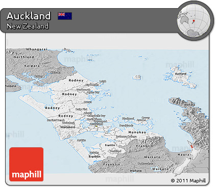 Gray Panoramic Map of Auckland