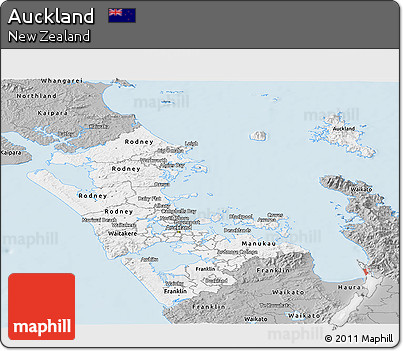 Gray Panoramic Map of Auckland