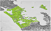 Physical Panoramic Map of Auckland, desaturated