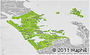 Physical Panoramic Map of Auckland, lighten, desaturated