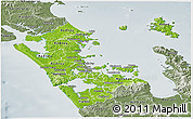 Physical Panoramic Map of Auckland, semi-desaturated