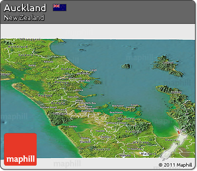 Satellite Panoramic Map of Auckland