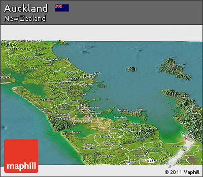 Satellite Panoramic Map of Auckland