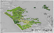 Satellite Panoramic Map of Auckland, lighten, desaturated