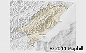 Shaded Relief 3D Map of Kaikoura, lighten, desaturated