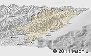 Shaded Relief Panoramic Map of Kaikoura, desaturated