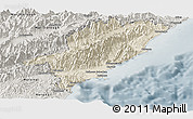 Shaded Relief Panoramic Map of Kaikoura, semi-desaturated