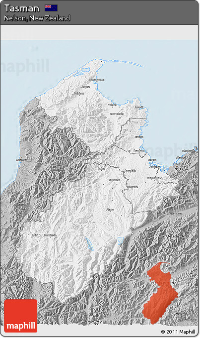 Gray 3D Map of Tasman