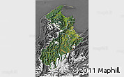 Satellite 3D Map of Tasman, desaturated