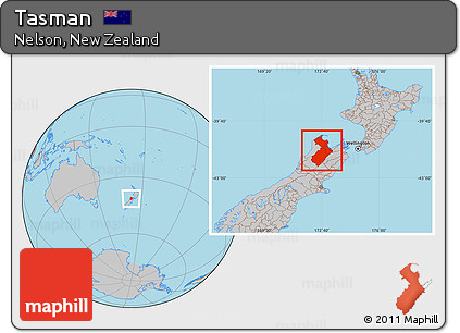 Gray Location Map of Tasman