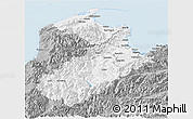 Gray Panoramic Map of Tasman