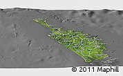 Satellite Panoramic Map of Northland, desaturated