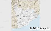 Classic Style 3D Map of Clutha