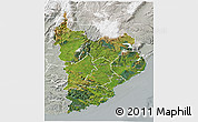 Satellite 3D Map of Clutha, lighten, semi-desaturated