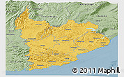 Savanna Style Panoramic Map of Clutha