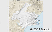 Classic Style 3D Map of Dunedin