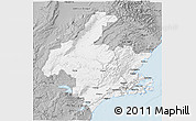 Gray 3D Map of Dunedin