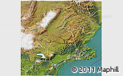 Satellite 3D Map of Dunedin