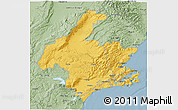 Savanna Style 3D Map of Dunedin