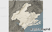 Shaded Relief 3D Map of Dunedin, darken