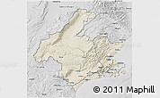 Shaded Relief 3D Map of Dunedin, desaturated
