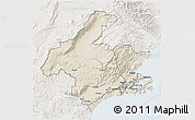 Shaded Relief 3D Map of Dunedin, lighten