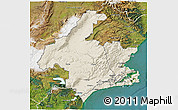 Shaded Relief 3D Map of Dunedin, satellite outside