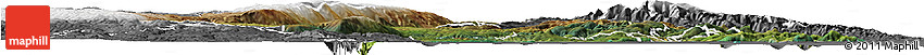 Satellite Horizon Map of Dunedin, desaturated