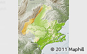 Physical Map of Dunedin, semi-desaturated