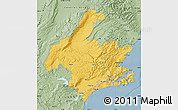 Savanna Style Map of Dunedin