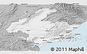 Gray Panoramic Map of Dunedin