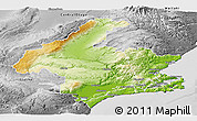 Physical Panoramic Map of Dunedin, desaturated