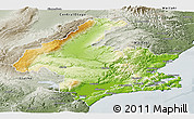 Physical Panoramic Map of Dunedin, semi-desaturated