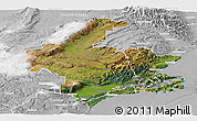 Satellite Panoramic Map of Dunedin, lighten, desaturated