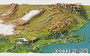 Satellite Panoramic Map of Dunedin