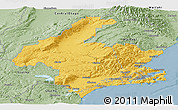 Savanna Style Panoramic Map of Dunedin