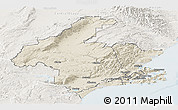 Shaded Relief Panoramic Map of Dunedin, lighten