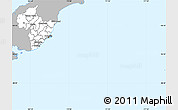 Gray Simple Map of Otago, single color outside