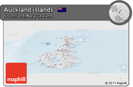 Gray Panoramic Map of Auckland Islands