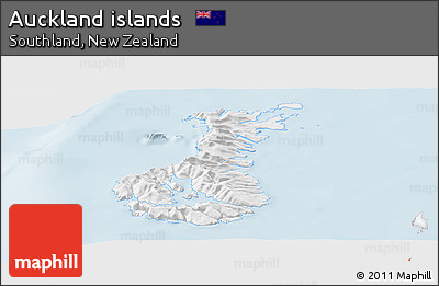 Gray Panoramic Map of Auckland Islands