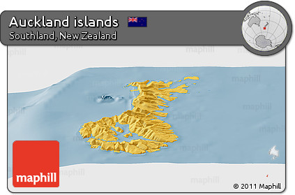 Savanna Style Panoramic Map of Auckland Islands