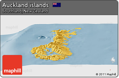 Savanna Style Panoramic Map of Auckland Islands