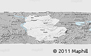 Gray Panoramic Map of South Waikato